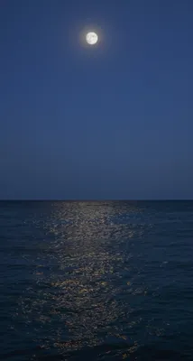 Лунная дорожка на море - 76 фото