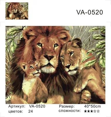 Алмазная мозаика \"Львиная семья\" на подрамнике 40х50 PREMIUM ТМ Цветной  178294687 купить за 2 433 ₽ в интернет-магазине Wildberries