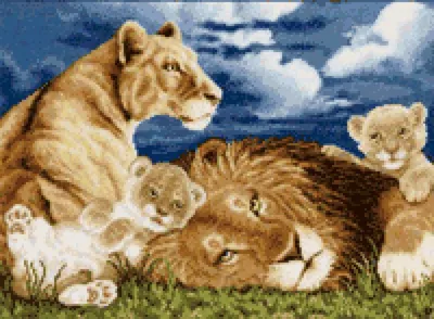 семья львов в природе стоковое фото. изображение насчитывающей львица -  213994698