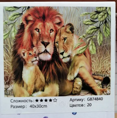 Семья львов рисунок - 78 фото