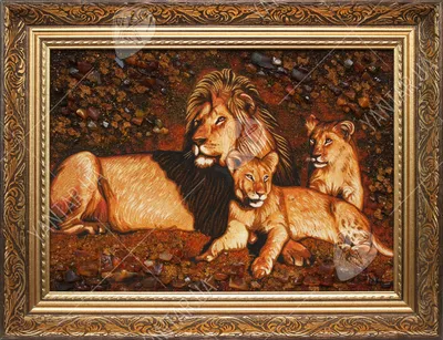 Львиная семья | Пикабу
