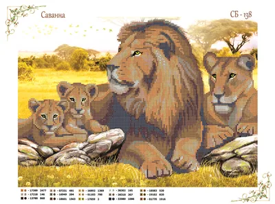 Семья львов (34 лучших фото)