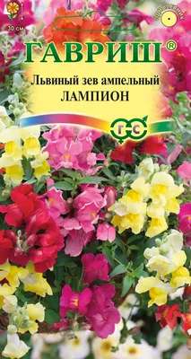 Львиный зев ампельный Лампион* 5 шт. семена купить в Самаре по цене 19 руб.