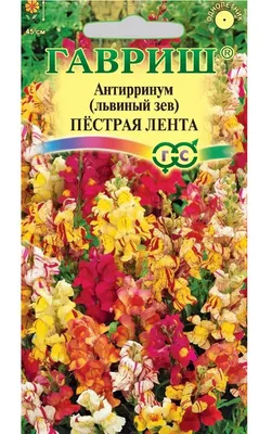 Львиный зев ампельный D18, H15 во Владикавказе – купить по низкой цене в  интернет-магазине Леруа Мерлен