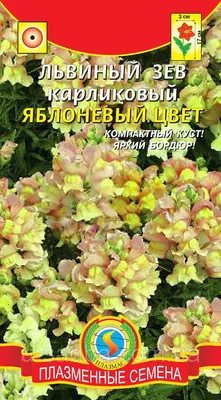 Антирринум (Львиный зев) Карликовый (смесь), 1 пакет, семена 0,05 гр, гавриш