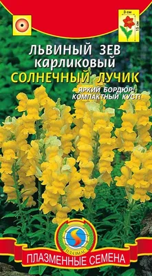 Львиный зев низкорослый Том Тамб семена съедобных цветов купить в магазине  «Ильинские травы»