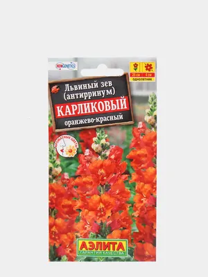 Львиный зев Карликовый смесь \"Плазменные семена\" 🏆 – купить семена в Перми