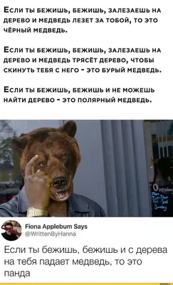 Где житель Чебаркуля взял медвежонка и почему оставил его у себя дома - 26  мая 2021 - 74.ru