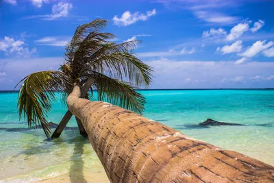 ✈︎ DON'T MISS: Ultimate Maafushi Island Guide (Updated 2024)