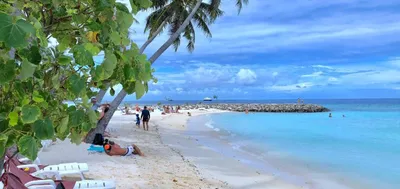 Настоящие Мальдивы. Отдых на локальном острове Маафуши, где живет местное  население. Отели, пляжи, мечеть и тюрьма. | Мир в кармане. | Дзен