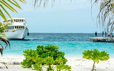 Настоящие Мальдивы. Отдых на локальном острове Маафуши, где живет местное  население. Отели, пляжи, мечеть и тюрьма. | Мир в кармане. | Дзен