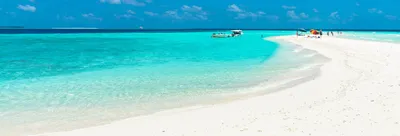 Maldives: 4 day tour! Maafushi + Island Hopping by BeachLife Tours with 21  Tour Reviews - TourRadar