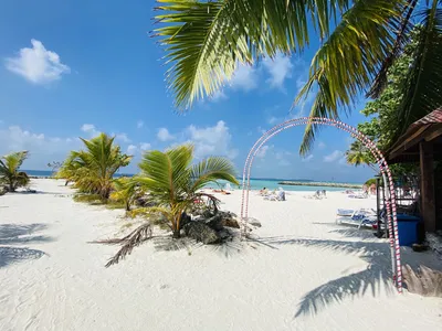 Отель Velana Beach Maldives Маафуши — туры в Velana Beach Maldives (Маафуши,  Мальдивы): отзывы жильцов, цена, описание, фото