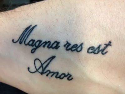 Magna res est Amor. Love is a powerful thing . | Татуировки, Тату