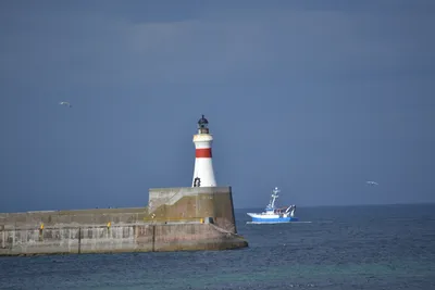 Обои маяк, море, берег, волны, скалы картинки на рабочий стол, фото скачать  бесплатно