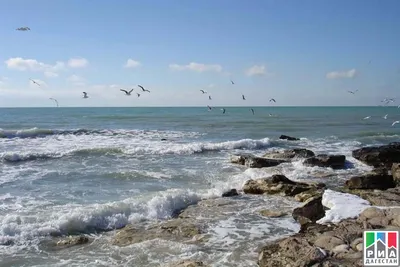 В Махачкале в первой декаде августа пройдет празднование Дня Каспийского  моря | Информационный портал РИА \"Дагестан\"