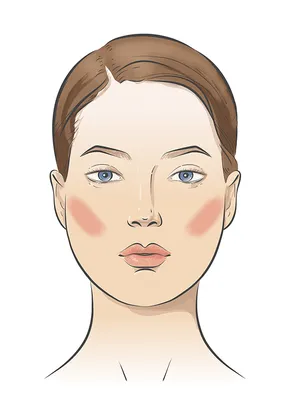 Контуринг по форме лица: как его делать, схемы, фото и пошаговая инструкция