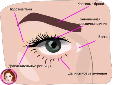 ᐉ Татуаж глаз и век Киев, цена, перманентный макияж глаз стрелки