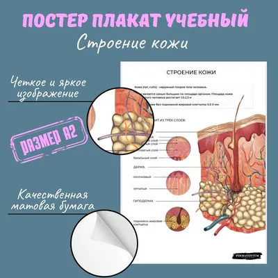 Как наносить макияж - правила нанесения безупречного мейка