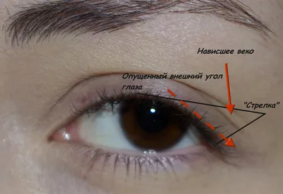 Макияж для нависшего века пошагово: как красить глаза и наносить тени