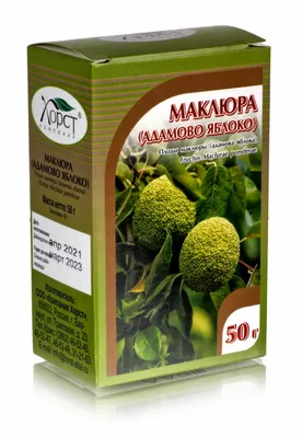 Маклюра оранжевая – дерево и древесина – Maclura pomifera