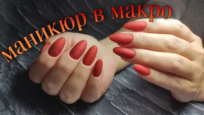 Купила Макро линзу для смартфона. Тот случай, когда реальность превзошла  ожидания. | Lipka1000 | Дзен