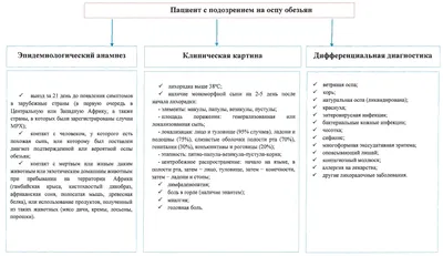 Система Вестибулара с клетками криста, макулы, кохлеа и рецептора  Иллюстрация вектора - иллюстрации насчитывающей уравновешение, кругово:  157465902