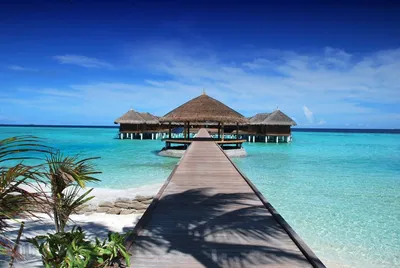 Мальдивы бунгало на воде фото фото