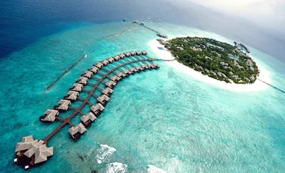 Бунгало на Мальдивах — отели в океане: подробности, фото, описание