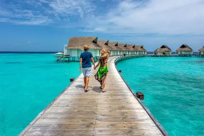 Мальдивы отдых - На Мальдивах очень популярно размещение туристов в уютных  бунгало, расположенных прямо над водой. Такой сказочный Мальдивы отдых на  берегу okeana запоминается на всю жизнь! Мальдивы отдых, туристические  информации. Если