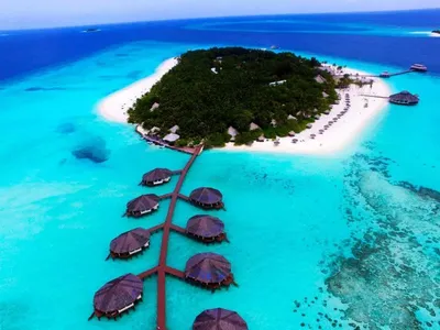 Островной эко отель на 32 номера с готовым проектом расширения и  строительства водных бунгало на Мальдивах | Property Investor