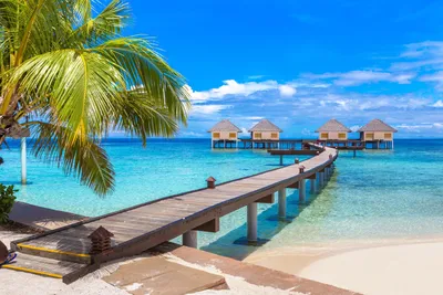 Мальдивы или Сейшелы ☀️ Что лучше подойдет для отдыха в 2024