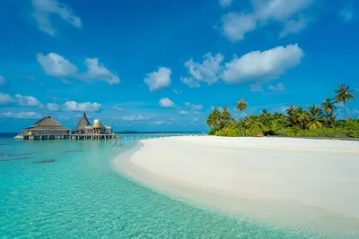 Мальдивы 🏖 фото пляжей 2024: биолюминесцентные, красивые и светящиеся