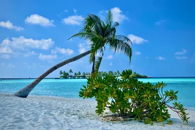 Какой океан омывает Мальдивы – турагентство Coral Travel Elite
