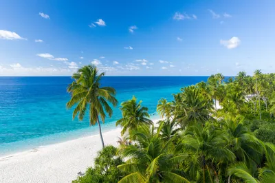 Скачать обои мальдивы, небо, море, океан, остров, раздел пейзажи в  разрешении 2880x1741 | На пляже, Пляжные фото, Мальдивы