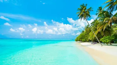 Отдых на Мальдивах. Солнце, море, пляжи и отличное настроение