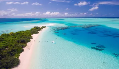 ТОП-11 идей, ☀️ что делать на Мальдивах во время отпуска 2024