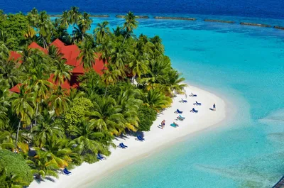 Мальдивы за 75 тыс. рублей на человека? Обзор цен на отдых в январе –  апреле 2023 года | Ассоциация Туроператоров