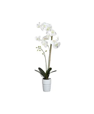 Орхидея Phalaenopsis (Фаленопсис) мини 30-9 - купить в Минске с доставкой,  цена и фото в интернет-магазине Cvetok.by