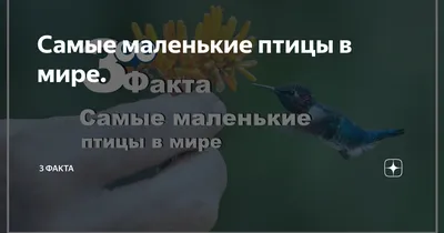 Купить Симпатичные маленькие птицы орнамент ручной работы деревянная  фигурка птицы резьба по дереву птица домашний декор | Joom