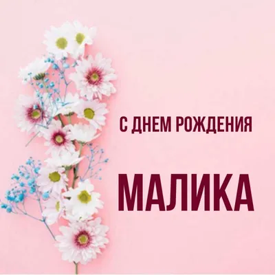 С днем рождения, Малика!» - скачать книгу - НТВ-ПЛЮС