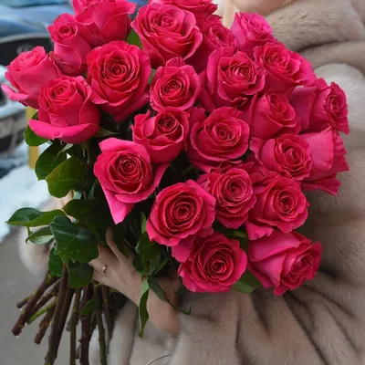 Малиновые розы 25 шт.