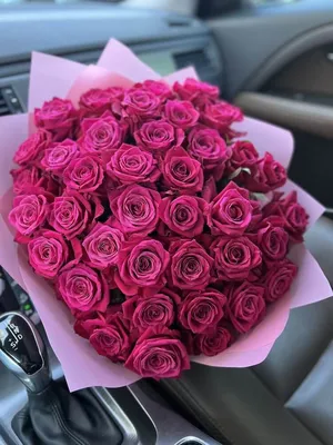 Малиновые розы – розы с доставкой по Москве и Московской области