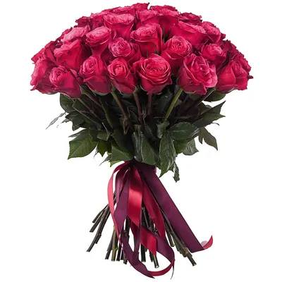 Малиновые Розы 51 шт. купить с доставкой в Москве. Цена от 7140 ₽