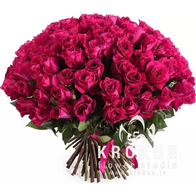 23 ярко-розовые розы (70 см) – купить оптом и в розницу в Москве и  Московской области – Городская База Цветов