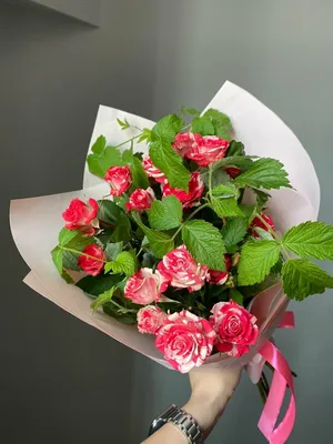 Роза, цвет малиновый, 21 шт купить по выгодной цене в интернет-магазине  OZON (899750013)
