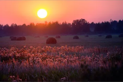 Малиновый закат. | Фотосайт СуперСнимки.Ру