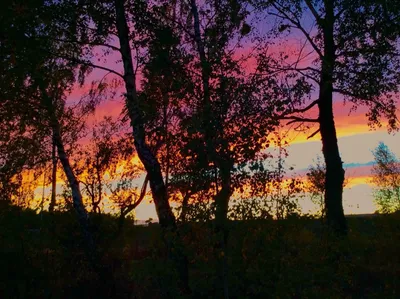 Малиновый закат. Photographer Oborotov Aleksey