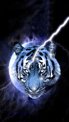 Тигры красивые редкие - картинки и фото koshka.top