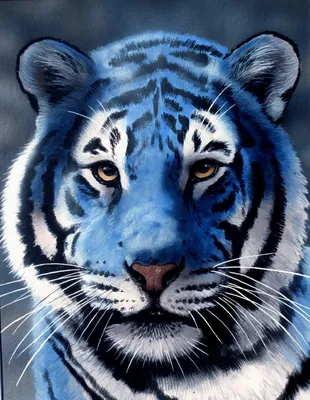 Купить картина по номерам 30х30 Мальтийский тигр, цены на Мегамаркет |  Артикул: 100044844718